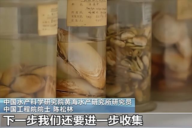 大国重器！沙海粮仓之后再现海上粮仓，15万吨级国字号重器成关键
