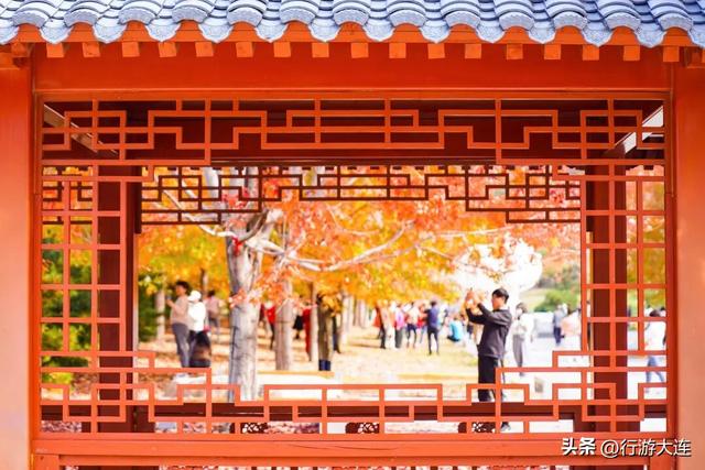 色彩峰值~走进横山公园“枫”景大片！