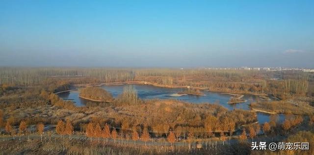 阿克苏惊现候鸟大军，浅滩窃窃私语如舞者，我被这天然舞台震撼了