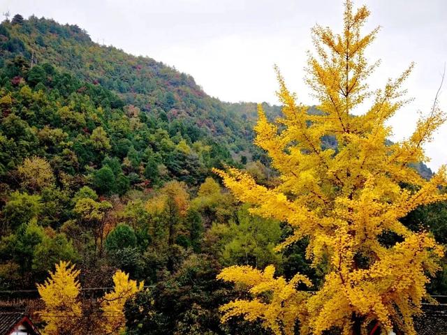 警告！深秋的徽县，千万别出门！因为……