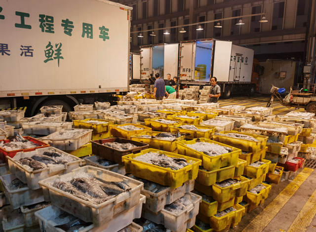 40头花胶多少钱一斤 2026年40头花胶与60头花胶有什么区别?