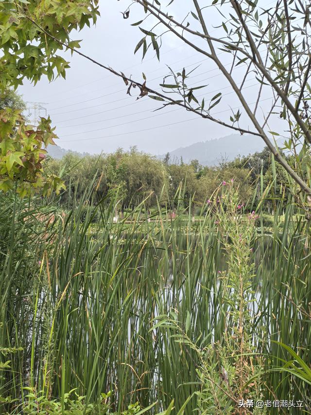 冬天的早上 晒着太阳从大观楼徒步到西山茶马花街 是什么样的感受？