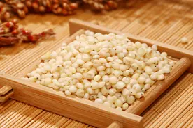 妇科炎症多因湿热起！一个两味药方，助你清热排湿图片