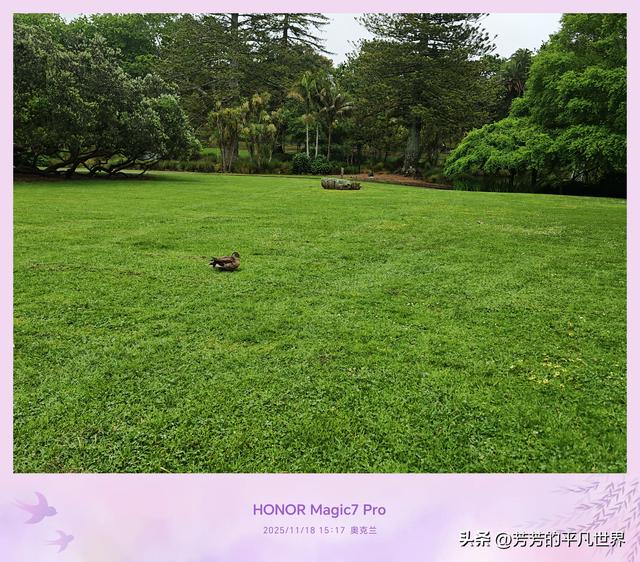 铺展到天际的绿地毯