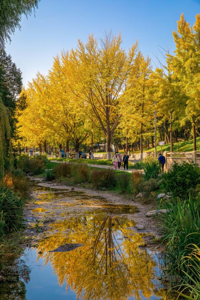 北京最被低估的赏秋地，一定是庄重又典雅清华大学
