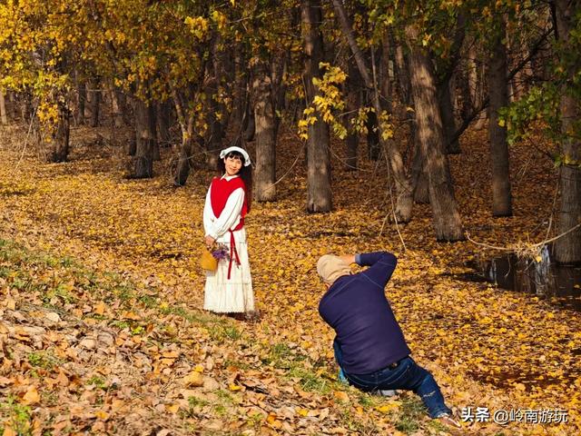 从西安出发1小时，隐藏在高陵河堤路边水上森林，美的令人窒息！