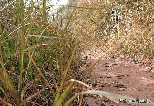 成都龙泉山爆红徒步路线，享受超级梭梭板，大人小孩都喜欢！