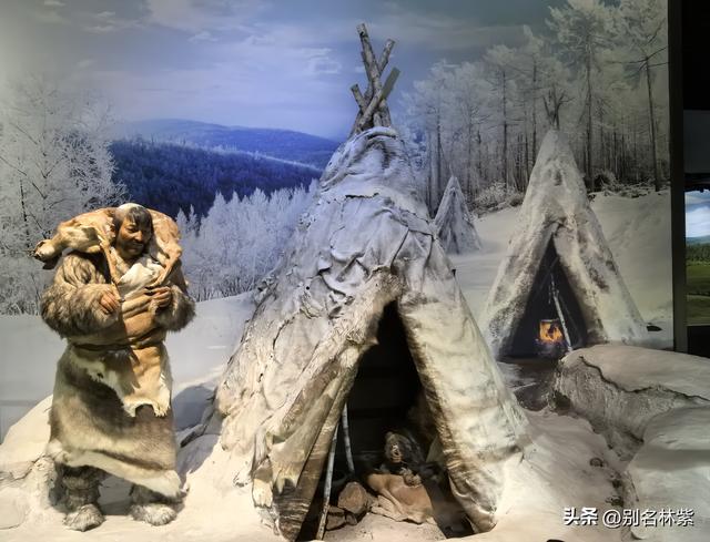 参观额尔古纳博物馆，了解蒙兀室韦和俄罗斯族历史，回青旅吃焖面
