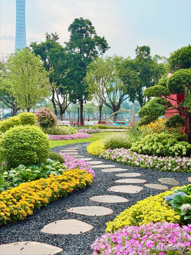 这个周末不如带娃去逛逛这里的花花