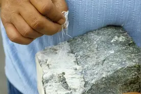 摧毁澳洲小镇，被世卫列入黑名单，为何我国农村瓦房上却多的是？图片