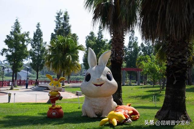转角即公园，满城皆风景——晋宁“口袋公园”悄悄惊艳