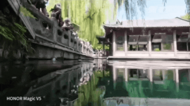 被济南泉水下的世界惊艳到了！