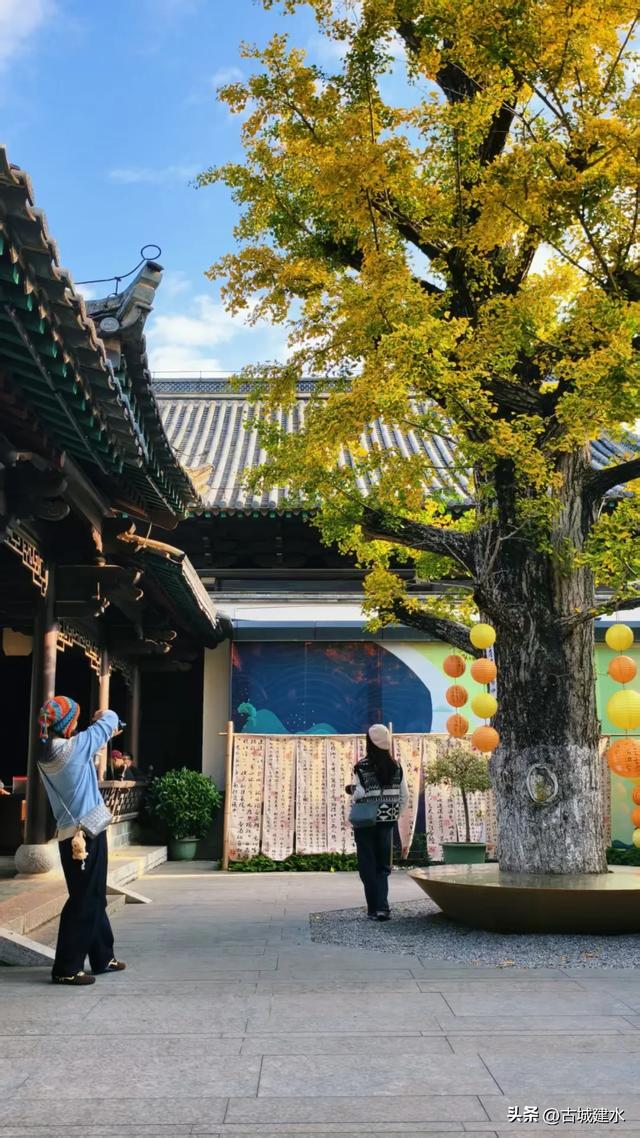 初冬雅韵:临安府署银杏换新妆