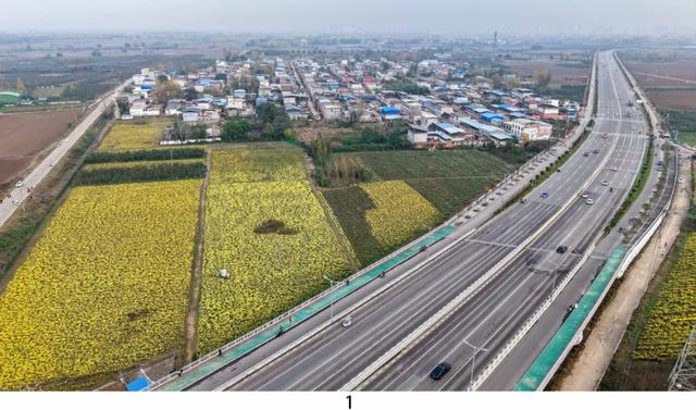 藏不住了！平顶山季节限定花海，错过等一年