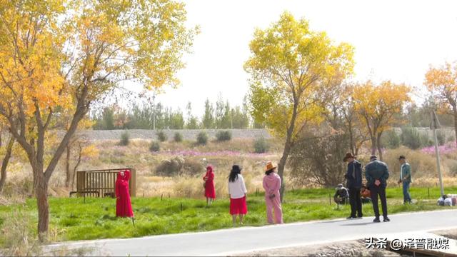 泽普县金湖杨国家5A级景区:秋日胡杨引客来 旅游热度持续攀升