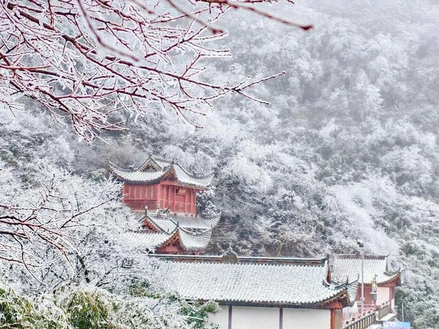 金佛山下雪❄️啦！秒变冰雪仙境