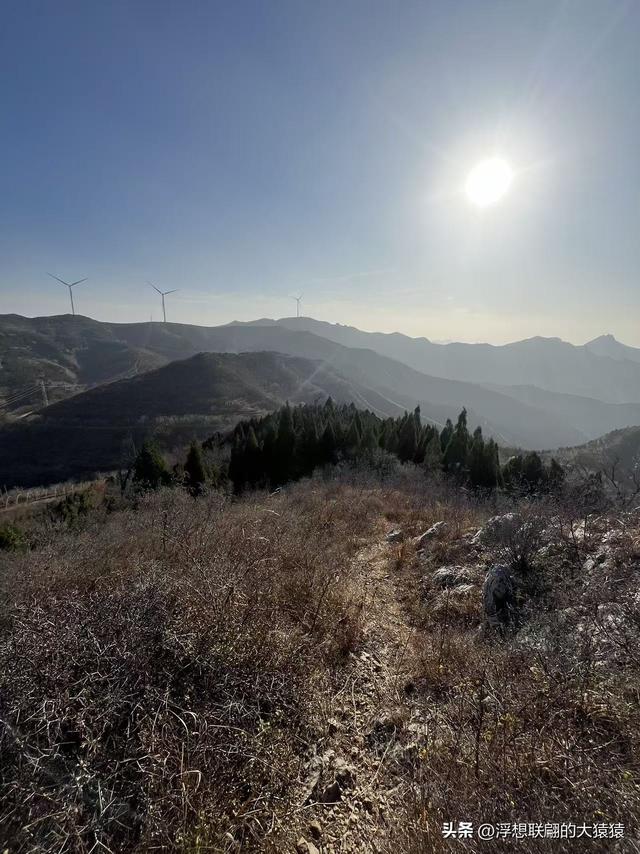 游赏过九鼎山后，我又跑到一户院里“强买”了大爷种在路边的白菜