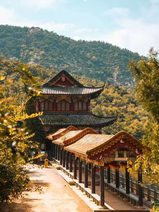 一眼惊艳！烟台这座小城最近太火了