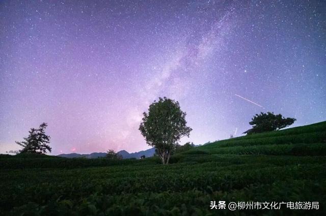 到三江过“侗年”，暖聚烟火值拉满