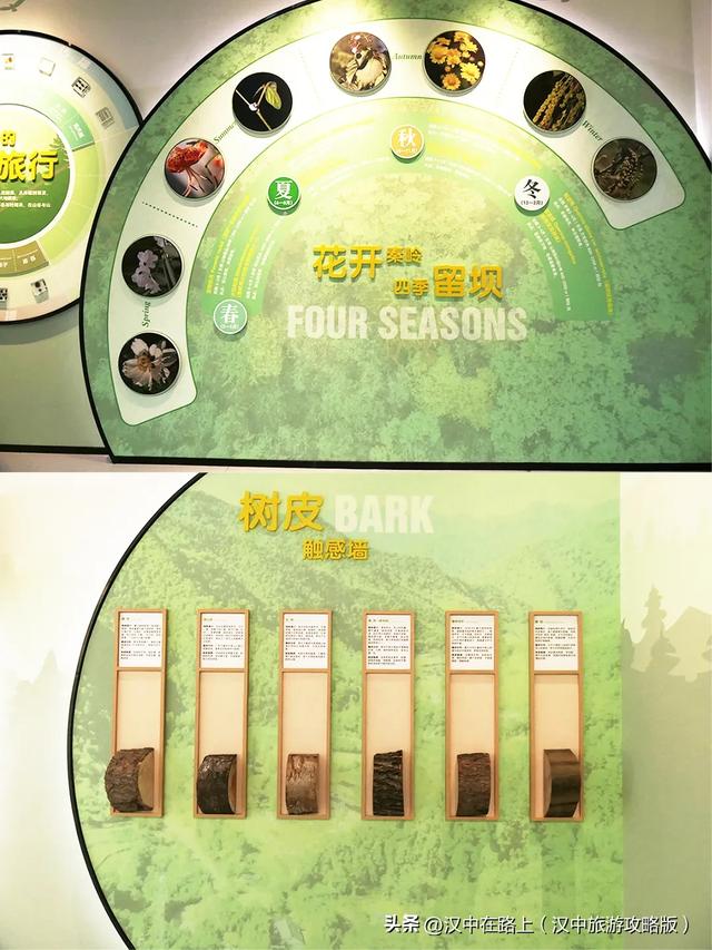 汉中巨型冰瀑奇观惊艳上线!