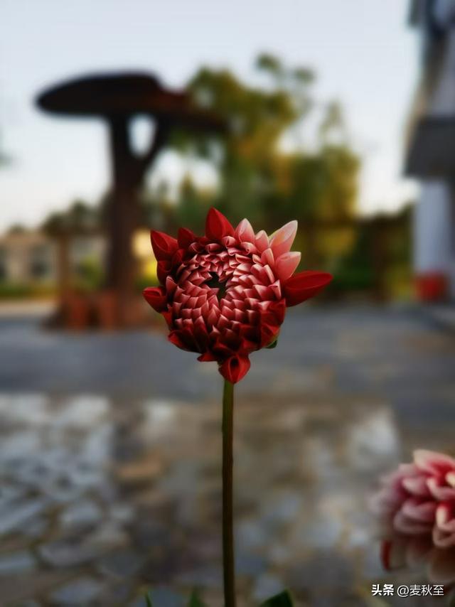 退休后，我靠这“三不”原则，把日子过成了诗