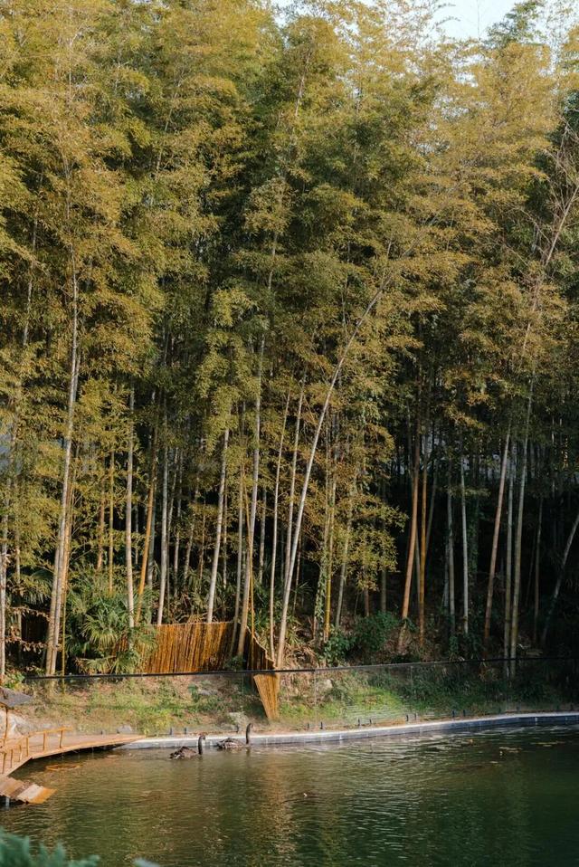 求雨山的风说了什么？