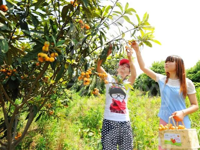 【跟着川超游雅安】2025年雅安秋季精品旅游线路来啦！