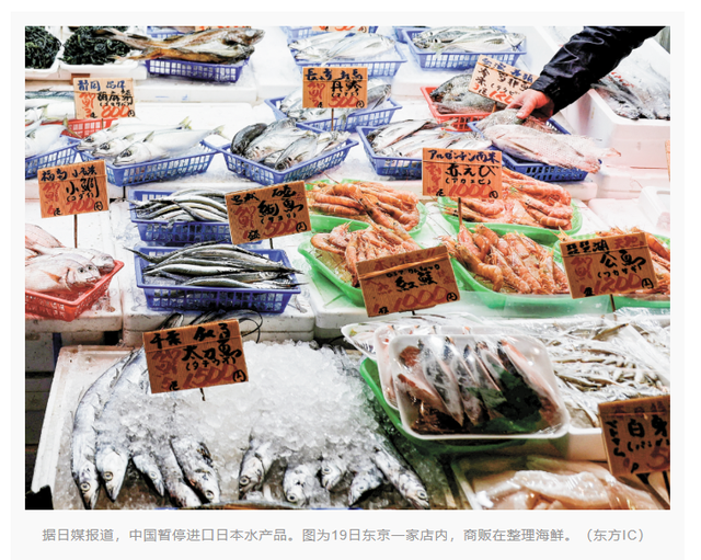 日本开始找补，爆料高市早苗已后悔，日议员坦承自己都不敢问下去