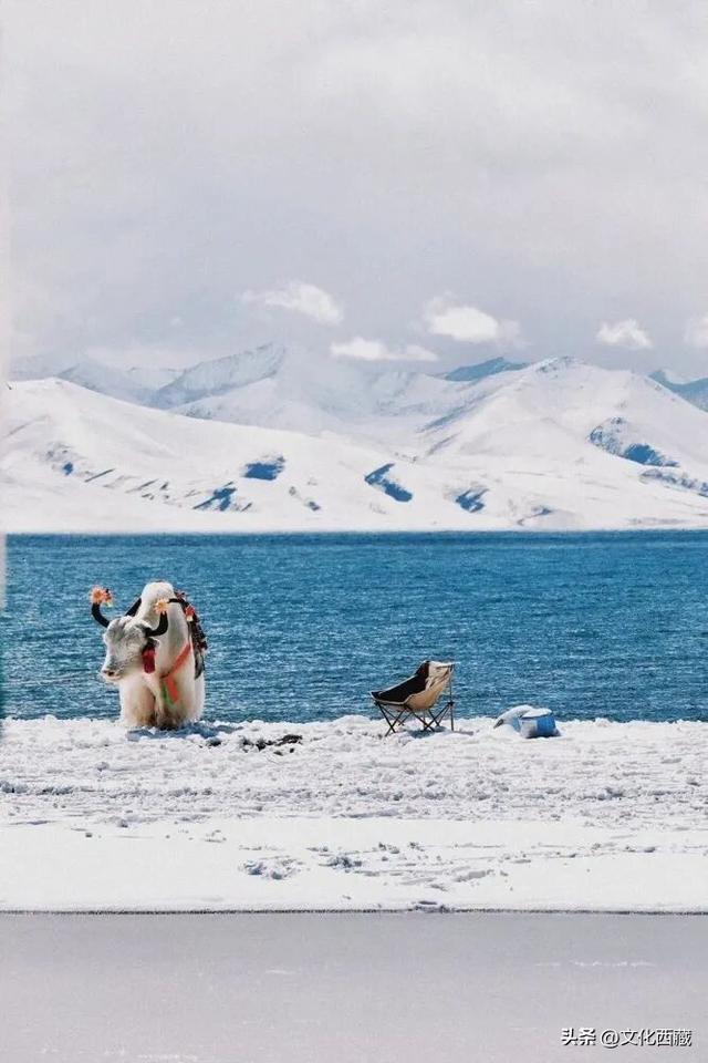 接下来，拉萨的冬天美哭你！