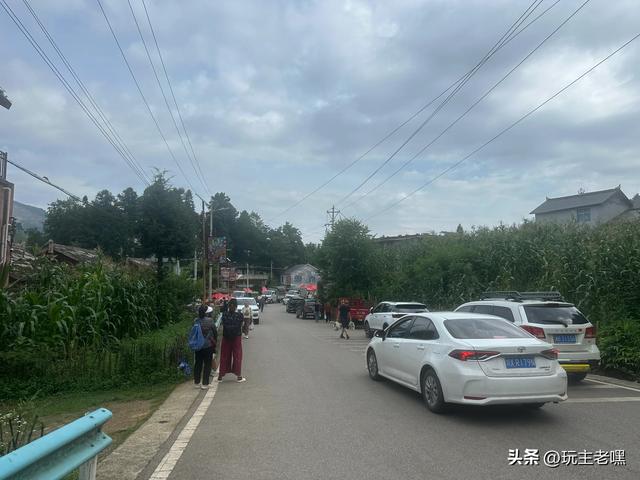 疆藏云贵行87，立秋