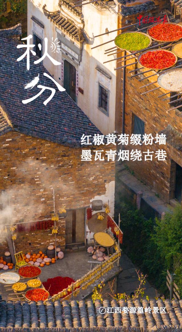 秋分丨寻色山河间 揽盈满秋实