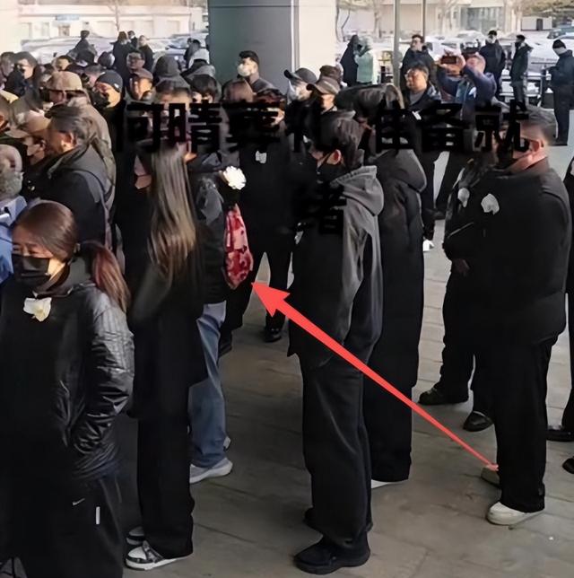 何晴离世不到48小时，入殓师曝光告别仪式内幕，恶心的事发生了