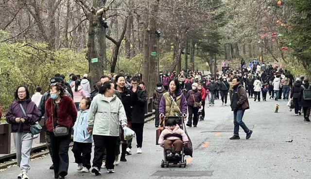 双休日全约满！千山圈粉众多鞍山游客