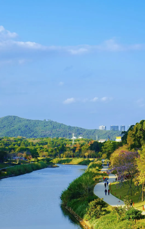 深圳又一生态长廊爆红，被称为现实版“魔法森林”，适合徒步遛娃