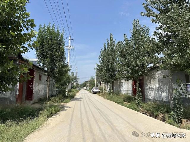 冠县乡韵·定远寨镇前杏园村