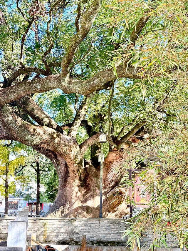 婺里古乡（上饶市婺源县）