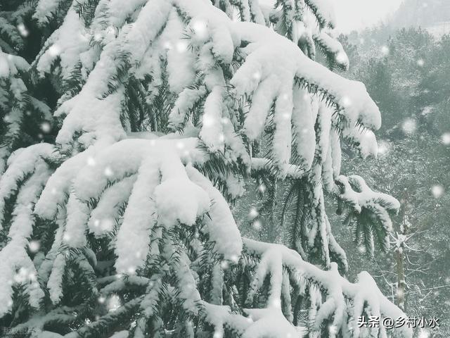今日冬至，老人说“冷不冷，就看冬至”，今年冬天是暖冬吗？