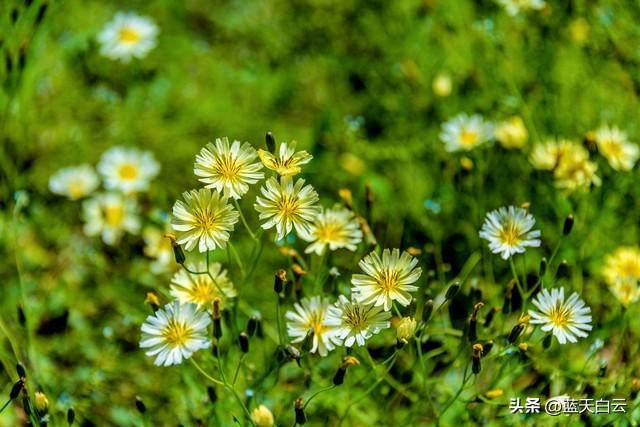 不管你信与不信，女性过了55岁后，基本都有以下方面的需求