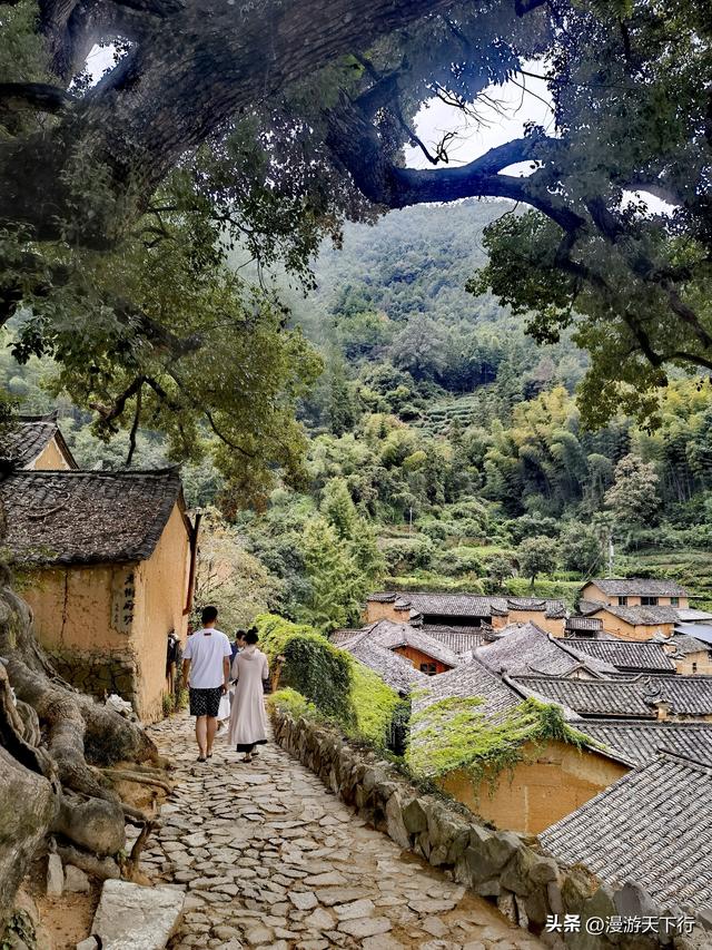 进山寻觅松阳的古村落，结果让我看到了与北方不一样的地方