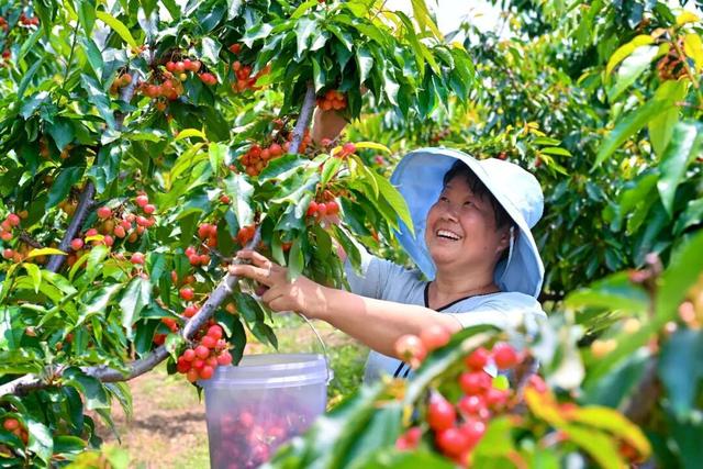 这一次，不得不去新安了！