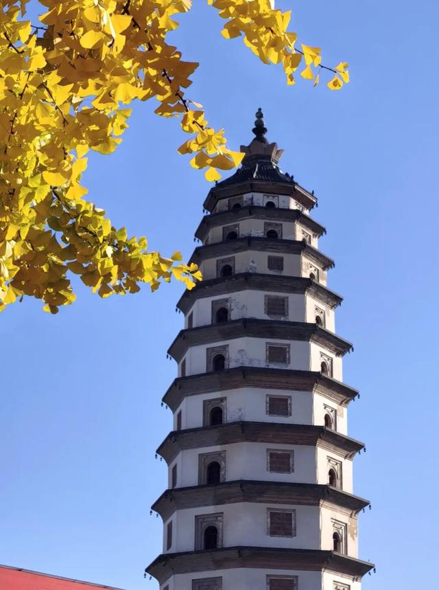 打卡定州限定秋景！