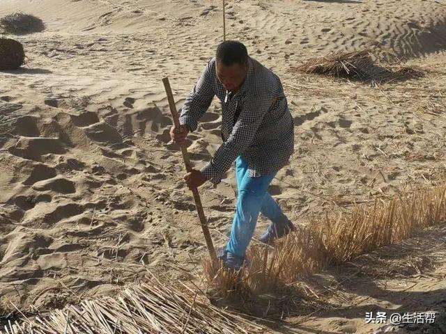 中国征服“死亡之海”！