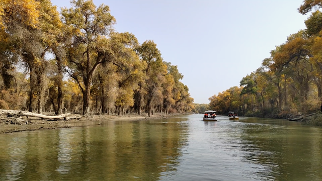 新疆这座冷门小城，藏着三处世界文化遗产
