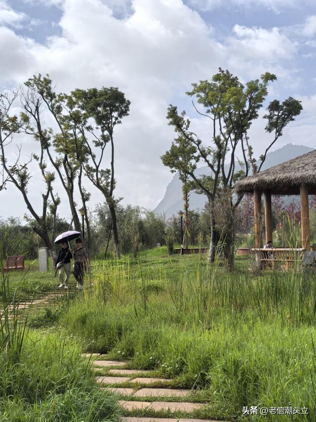 冬天的早上 晒着太阳从大观楼徒步到西山茶马花街 是什么样的感受？