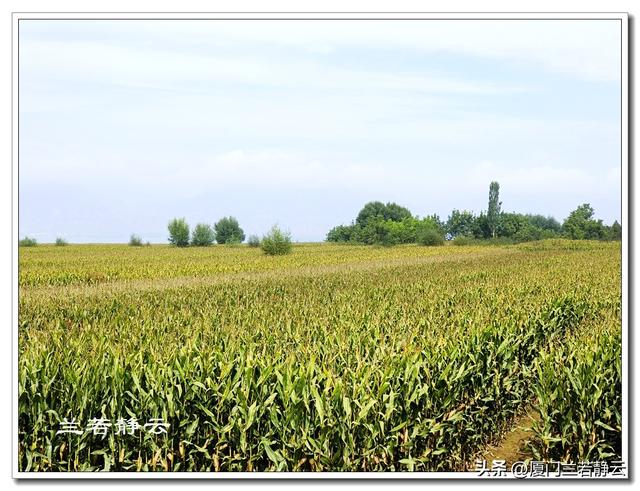甘肃永靖：天然的“鸳鸯火锅”奇观 - 黄洮交汇处