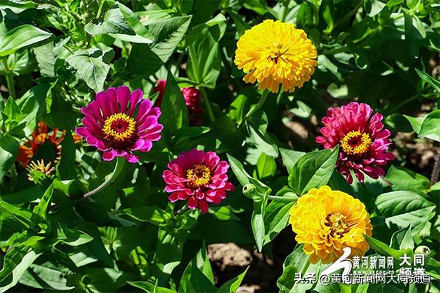 大同：以“清凉夏都”之名，邀您共赴夏日清爽之约