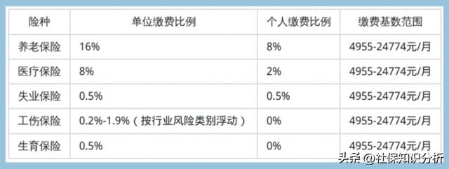 2025年宁夏社保缴费标准出炉！缴费比例、单位个人缴纳金额详解