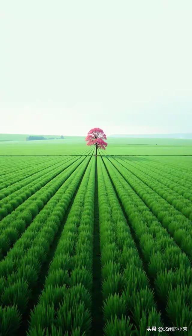 缁胯壊鎶ょ溂澹佺焊缇庡浘