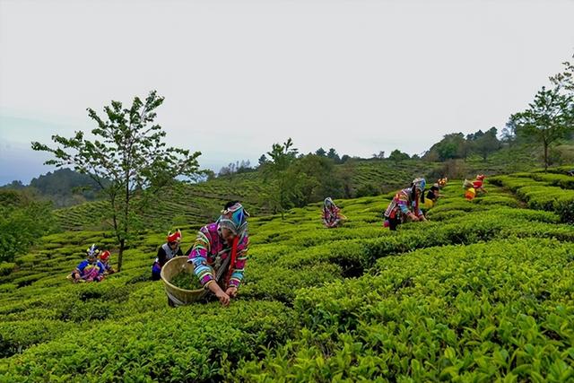 楚雄州双柏县：多元赋能打造四季立体旅居生态
