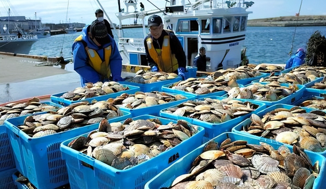 美国不许日方低头，祭出重磅手段；高市醒悟，对华作出重要表态